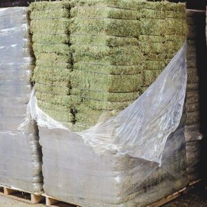 Alfalfa Hay
