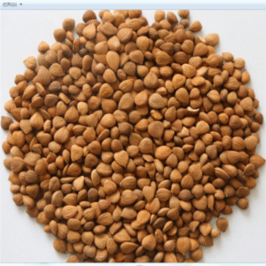 Apricot kernels