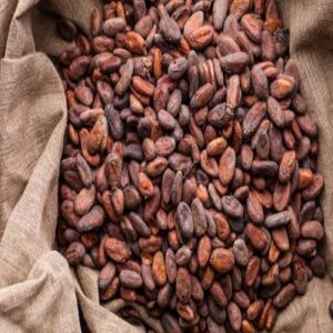 Cocoa Beans