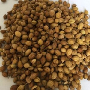 Coriander Seed