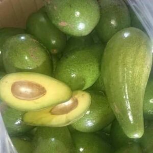 Fresh Avocado