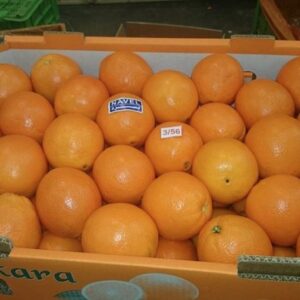 Fresh Oranges