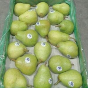 Fresh Pears