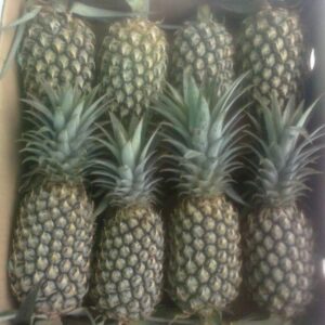 Fresh Pineapple