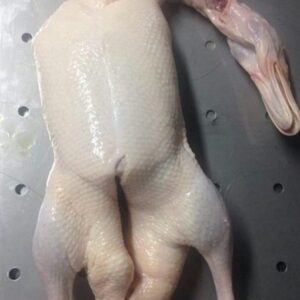 Frozen Duck Parts