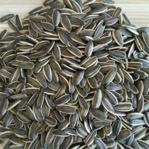 Sunflower Seed